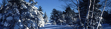A mantle of snow creates a winter wonderland at Sand Point within Pictured Rocks National Lakeshore.
