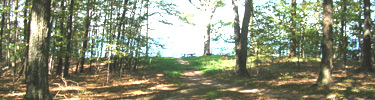 Alligator Hill Lookout