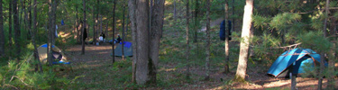 White Pines Backcountry Camp