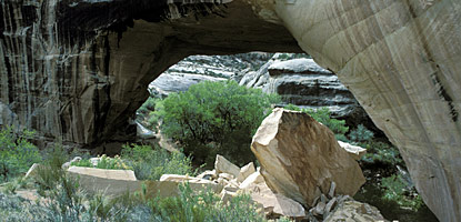 Kachina - possibly the youngest bridge