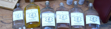 Photo of 19th century medicine bottles.