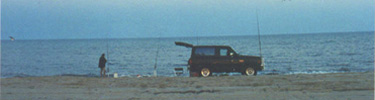 The over sand vehicle zone offers convenient access to surf fishing opportunities. 28kb
