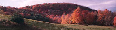 A view of the Elm Lot and meadow in fall foliage. Photo by Laura Cohen.