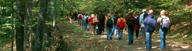 A group of students walks down a wide trail in the lush green forest. Photo by Barbara Slaiby.