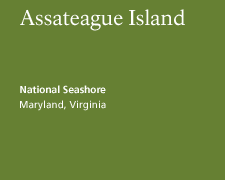 Assateague Island National Seashore