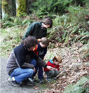 man, woman and two young boys looking at the forest floor