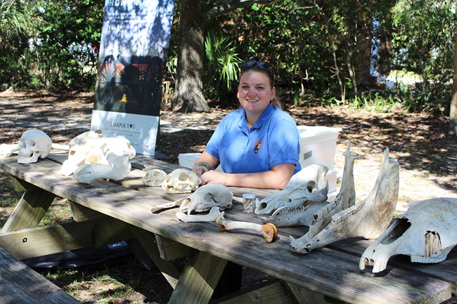 NPS volunteer sitting at a display table with bones