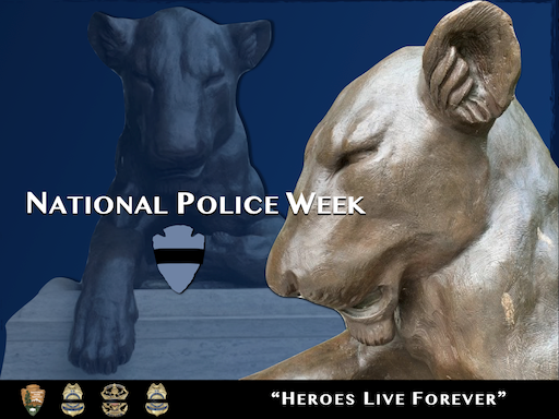 During National Police Week and beyond, we invite everyone to honor those who protect our treasured landscapes, visitors, employees, and fellow citizens. A bronze sculpture of a lioness at the National Law Enforcement Officers Memorial in Washington, DC. Text on the image reads "National Police Week" and "Heroes Live Forever" on the bottom along with the NPS Arrowhead and law enforcement badges; NPS photo.