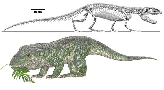 Revueltosaurus-flesh-and-bone.jpg