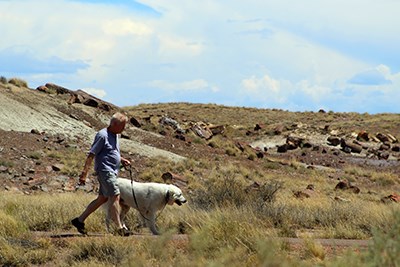 Man with dog walks the Crystal Forest Trail