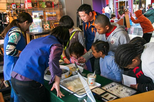 Children participating in a hands-on activity assisted by museum volunteers.