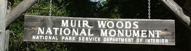 Muir Woods National Monument