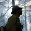 on ground looking up at firefighter through sun shining in forest