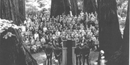 United Nations in Muir Woods National Monument in 1945