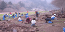 Volunteers working during Earthday restoring native habitat.