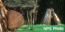 Kule Loklo, a replica of a Coast Miwok village