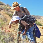 Death Valley National Park (U.S. National Park Service) - Official site, including information about natural and historical resources, news,   events, weather, camping, lodging, fees, permits, facilities, and visitor guide.