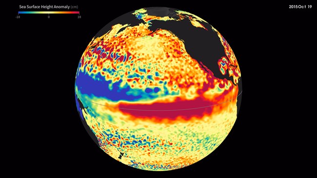 Screenshot from NASA's 2014-2016 sea surface height animation showing the marine heatwave in full swing.