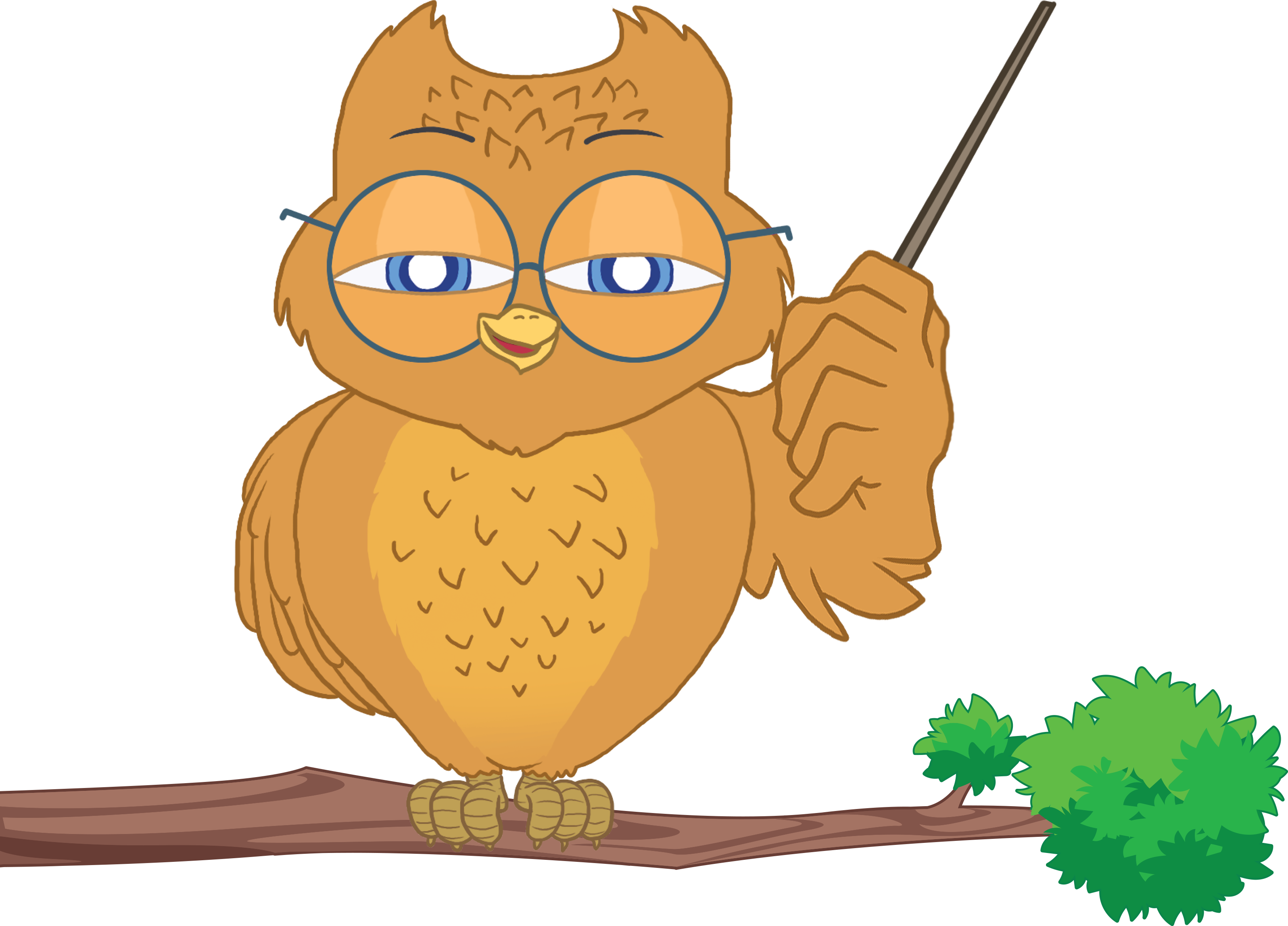 cartoon drawing of an owl