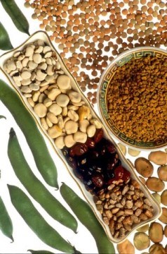 Clockwise from top right: Lentils, fenugreek seeds, fava beans, tepary beans, scarlet runner beans, lupini beans, tarwi beans, fava bean pods.