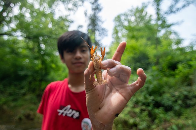 A young person holds up a crayfish.