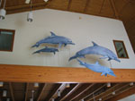 a pod of 4 dolphin models, shown in swimming action, hanging from the Visitor Center rafters a pod of 4 dolphin models, shown in swimming action, hanging from the Visitor Center rafters