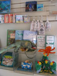items from the Visitor Center, such as toy animals, books, games items from the Visitor Center, such as toy animals, books, games