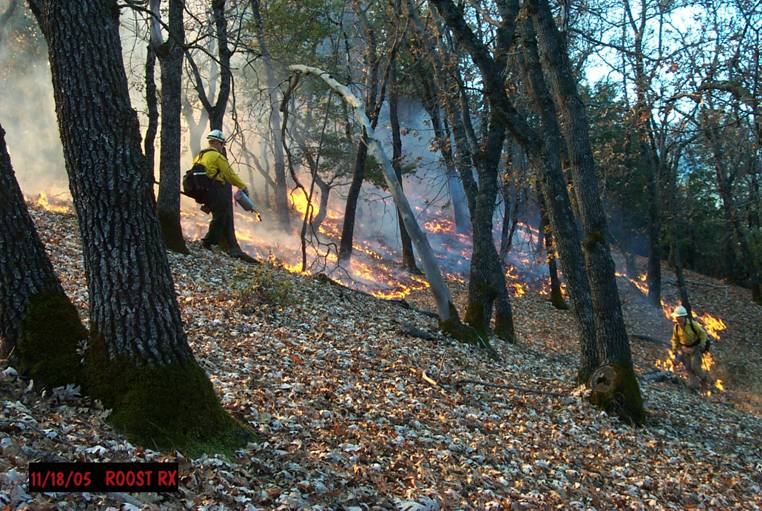 ignition on prescribed burn
