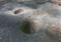 Pounding rocks or bedrock mortar are ideal for grinding acorns. Shallow mortar holes, like the ones shown in the picture, were preferred for processing black oak acorns, while deeper holes were used for manzanita berries.