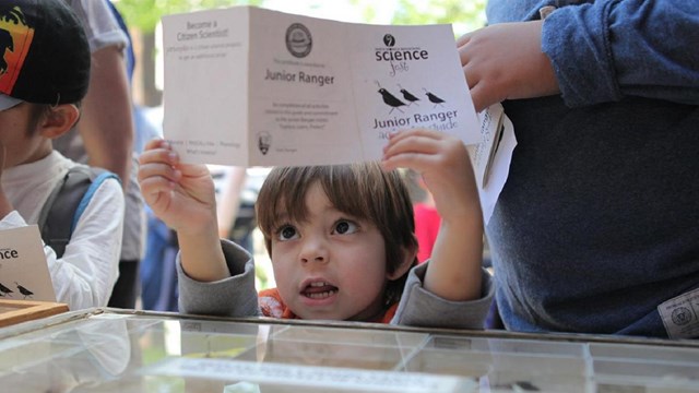 Child holding up a Junior Ranger book