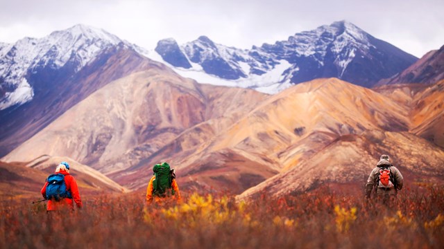 Backpackers in a field heading towards a mountain range 