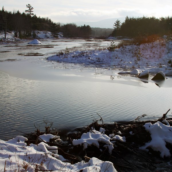 A beaver pond along Duck Brook Road - November 25, 2011.