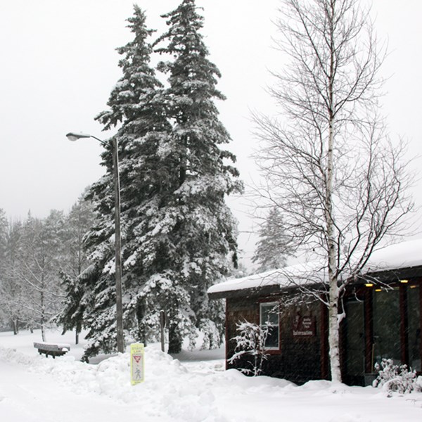 Snow Storm at Acadia Park Headquarters
November 23, 2011