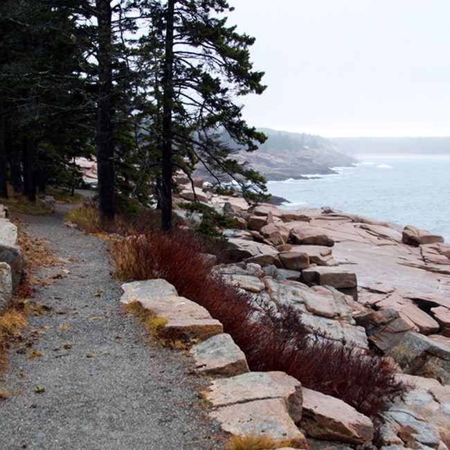 A rainy day on the Ocean Path along the Park Loop Road - December 6, 2011