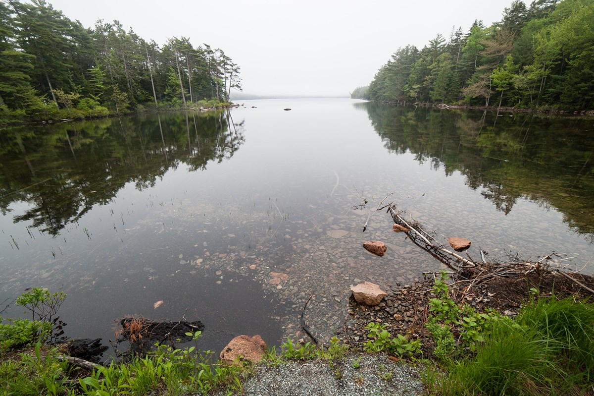 To grader Æble Pensioneret Lakes and Ponds - Acadia National Park (U.S. National Park Service)