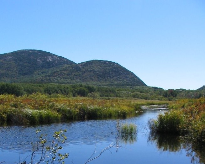 Flooded meadow with mountains in the background