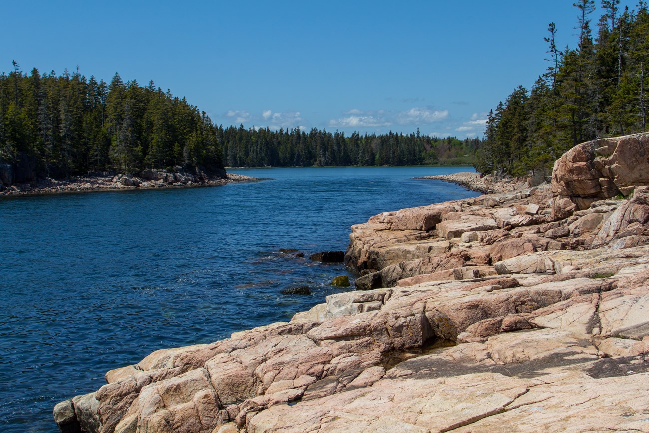 View from Ship Harbor Trail Harbor area with rugged cliff edges