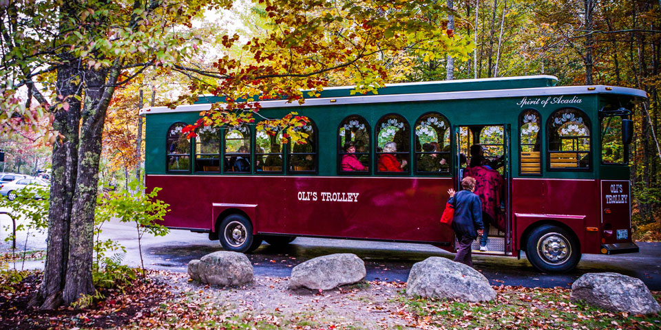 bus tours acadia