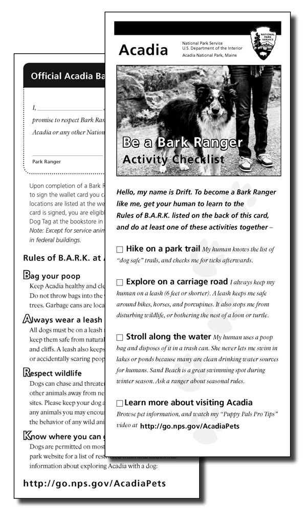 Bark Ranger Activity Sheet
