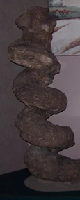 Daemonelix. A spiral shaped fossilized Daemonelix stands on display.