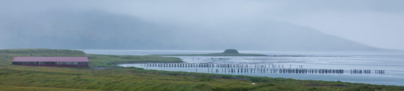 an old dock, now only vertical log poles, extends from a green shoreline into the ocean with foggy mountains in the background.