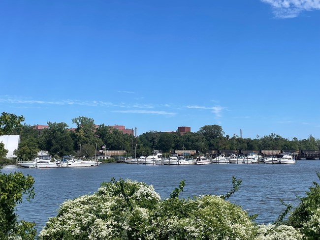 A large number of boats are seen at a dock across a river.