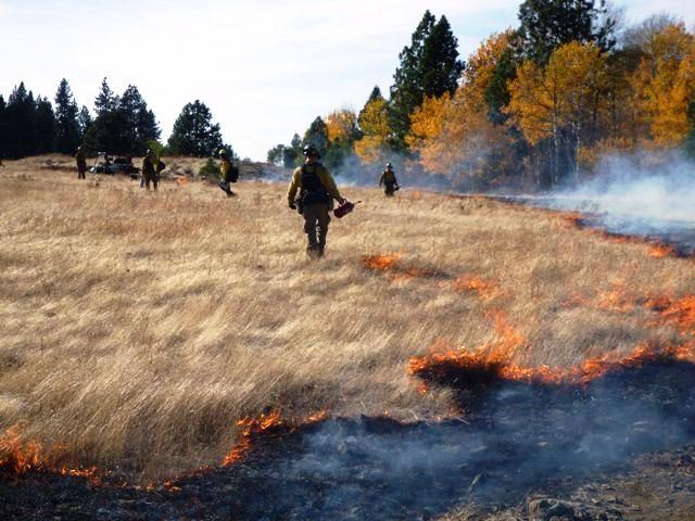 Firefighters manage a controlled burn in a prairie