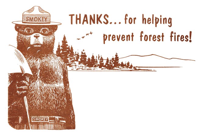 Smokey Bear presents the message "Thanks for preventing forest fires."