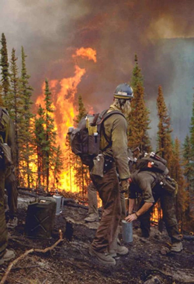 Firefighters stand in forefront of an active forest fire.