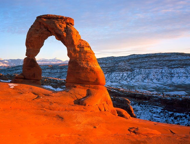 Missouri Pincushion - Colorado National Monument (U.S. National Park  Service)