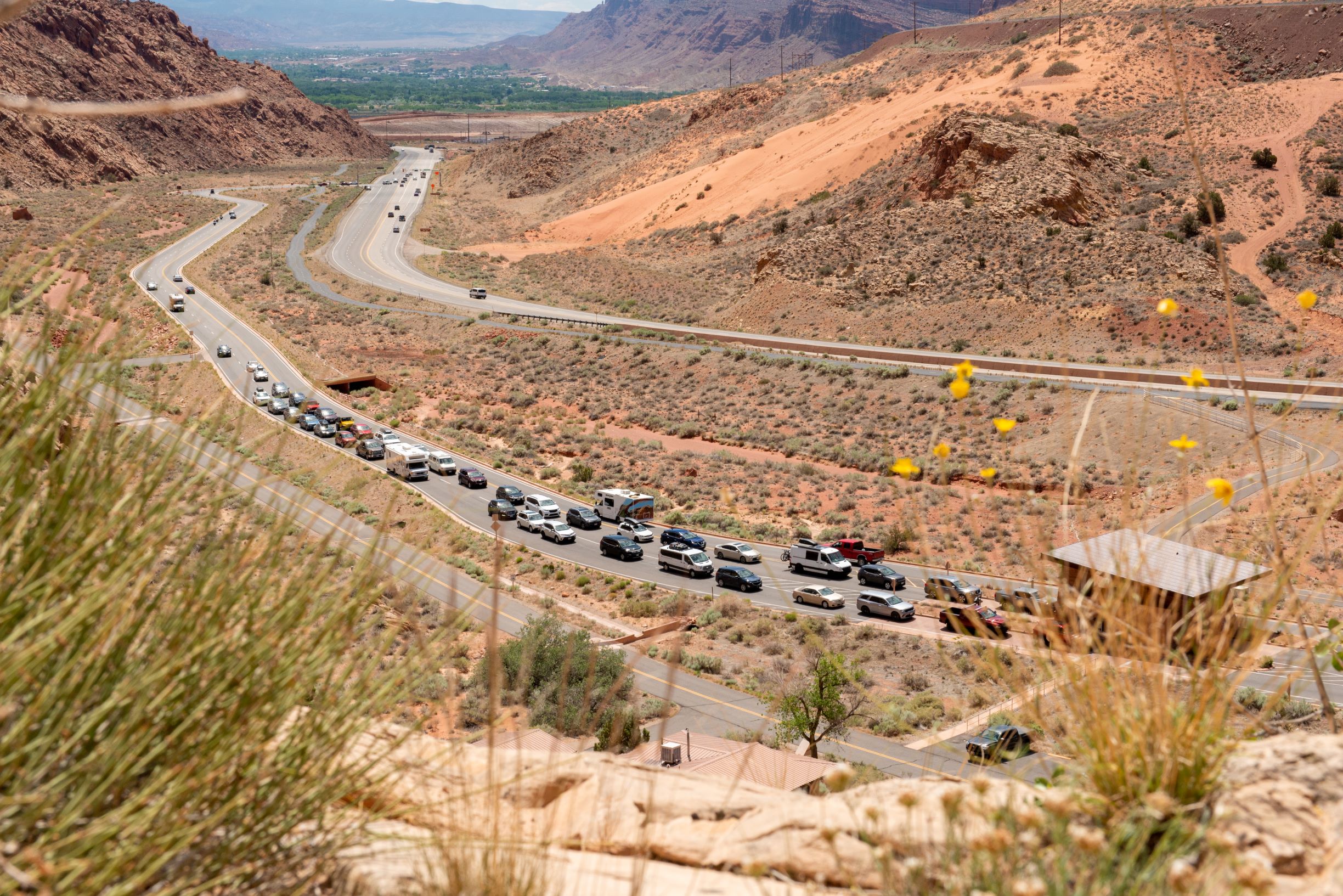 A long line of vehicles of various colors and sizes approach the Arches entrance station. Yellow flowers and orange cliffs rest in the foreground.