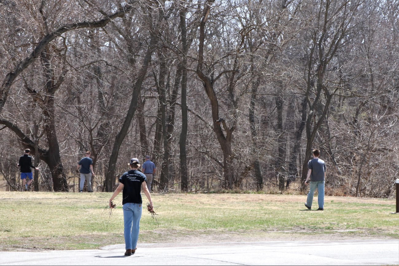 A group of students pick up sticks near the woodland area at the park.