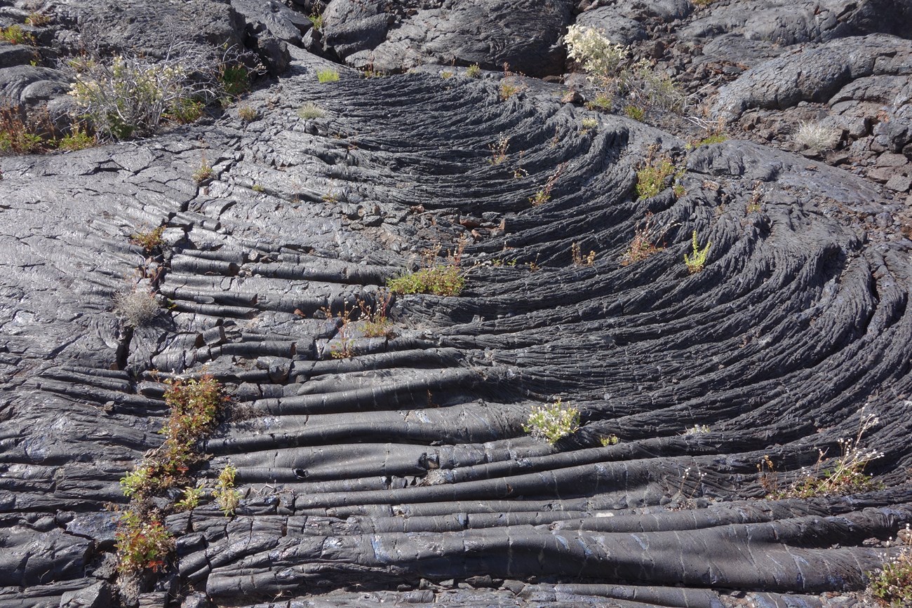 Photo of ropy lava rock with a series of curved ridges on the surface.