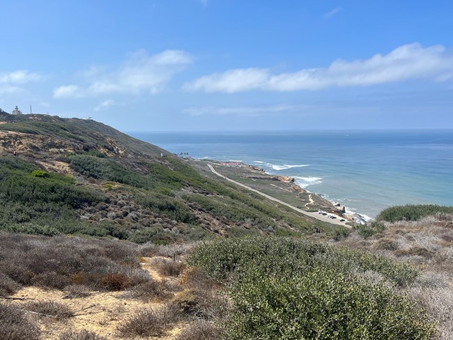 a coastal hillside covered in vegetation with a coastal road and parking area near the water